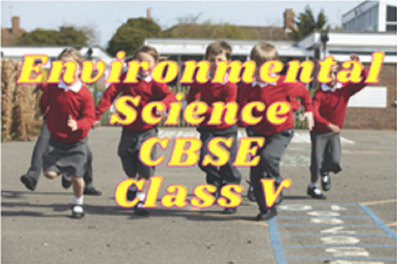 Environmental Science (CBSE) - Class V